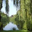Koszalin, Park przy Amfiteatrze (Aw58)