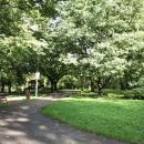 Koszalin Park im. Książąt Pomorskich 11